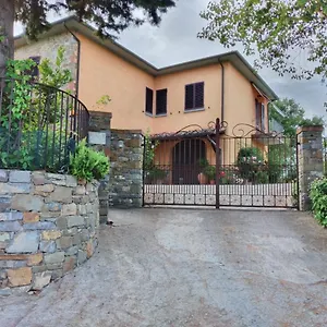 L'oliveto Lucignano