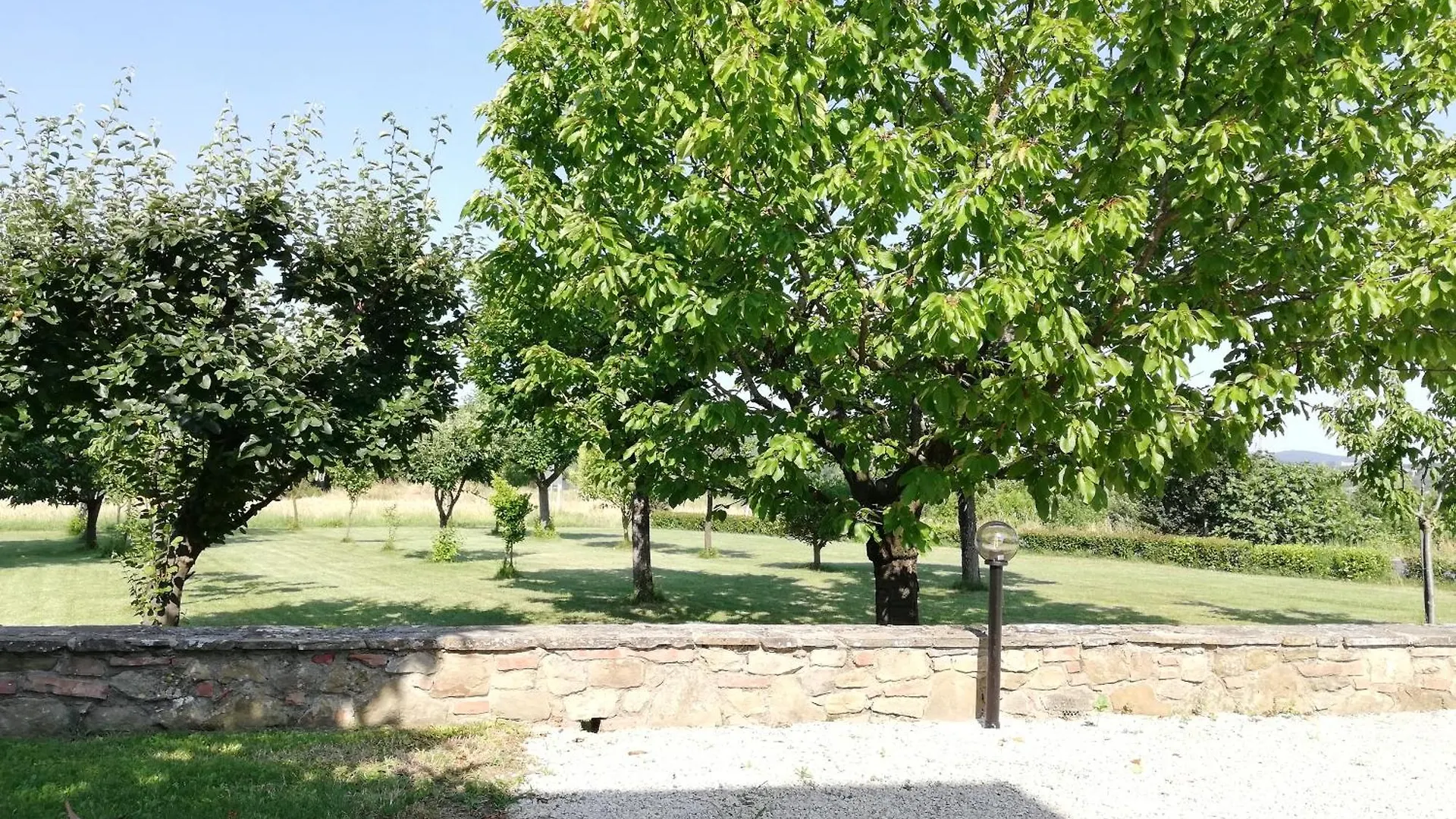 Il Papavero Verde Lucignano 0*,  Italy